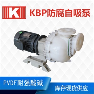 KBP自吸泵 KBP自吸泵