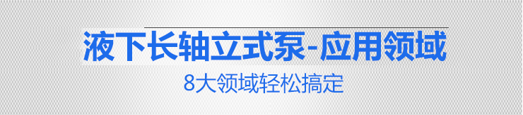 國(guó)寶KPL立式泵_08